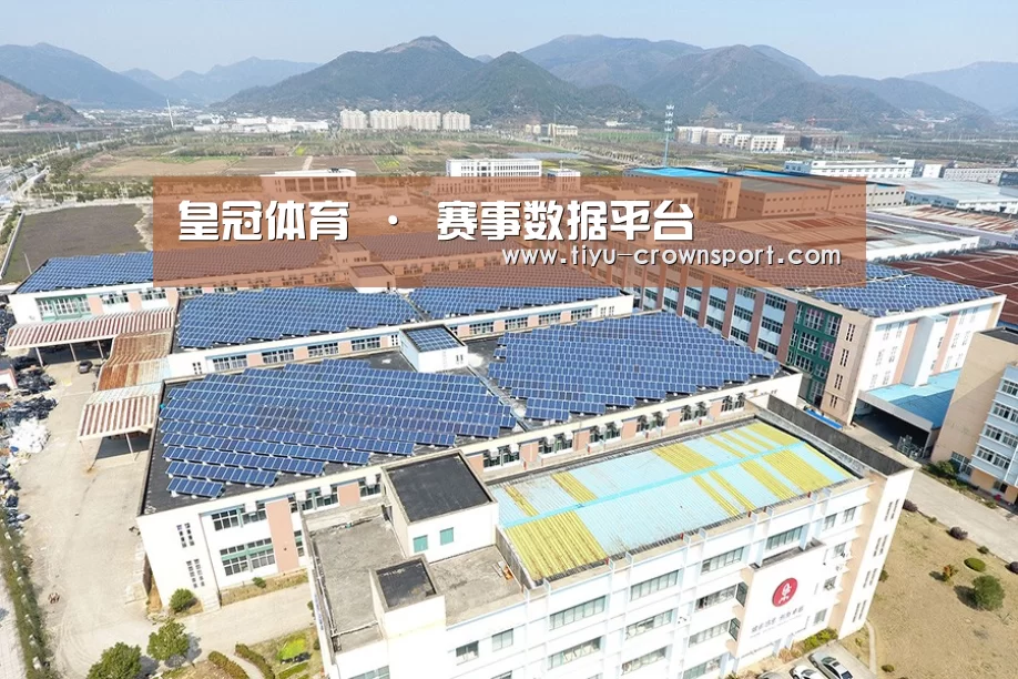 案例展示二