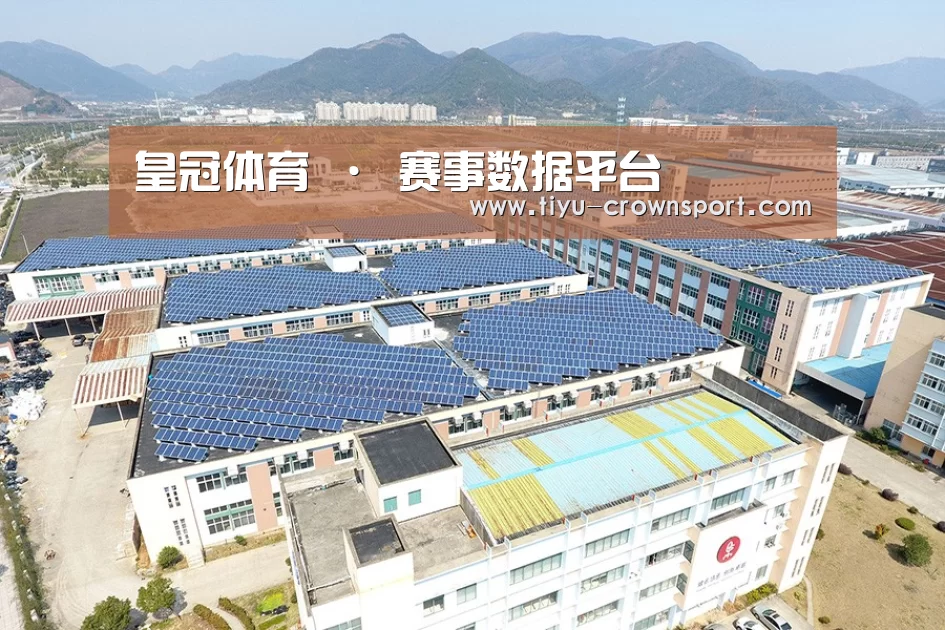 案例展示四