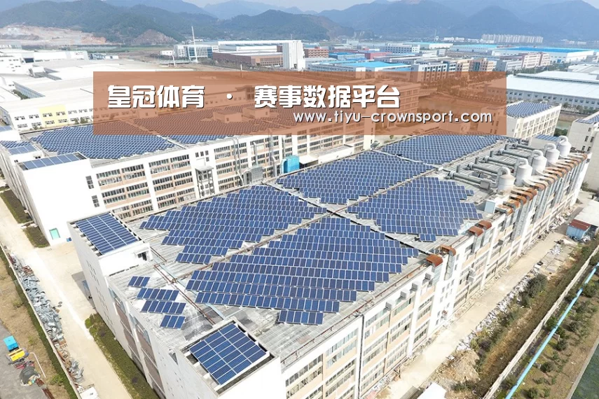 案例展示三