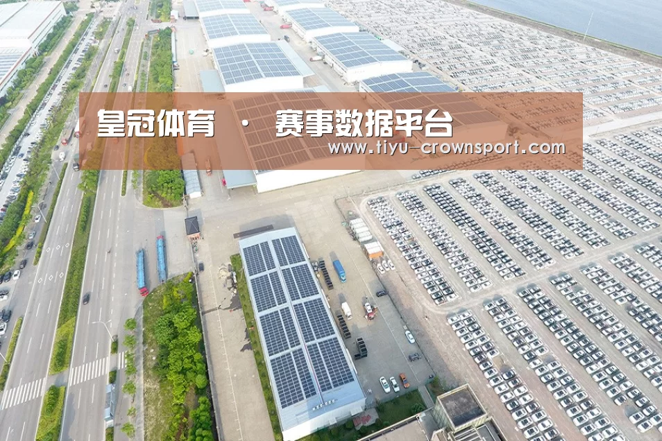 案例展示三