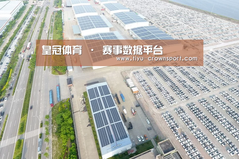 案例展示二