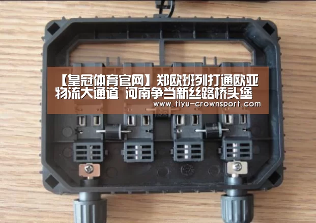 【皇冠体育官网】郑欧班列打通欧亚物流大通道 河南争当新丝路桥头堡(图3) 皇冠体育注册